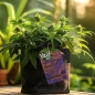 Preview: Grow Stofftopf Living Soil organic